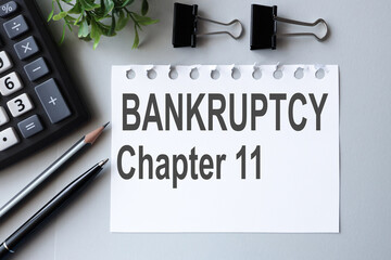 bankruptcy chapter 11, text on white paper over gray background