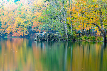 Autumn colors. Colorful fallen leaves in the lake. Magnificent landscape. Natonial Park. Yedigoller. Bolu, Istanbul, Turkey.