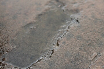 Water pooling in a rock crevice after a rainstorm
