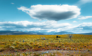 field and sky