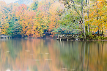 Autumn colors. Colorful fallen leaves in the lake. Magnificent landscape. Natonial Park. Yedigoller. Bolu, Istanbul, Turkey.