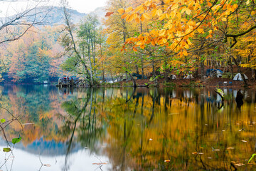 Autumn colors. Colorful fallen leaves in the lake. Magnificent landscape. Natonial Park. Yedigoller. Bolu, Istanbul, Turkey.