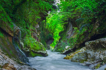 Creek in Gachedili canyon, Georgia, wild place