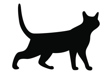Vector silhouette of a cat. Pet. Silhouettes of cats. Playful pet. Poses.