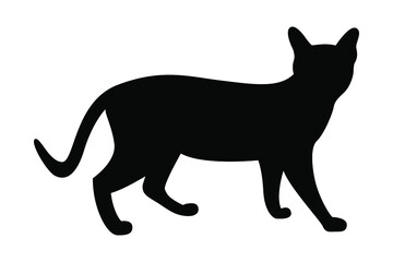 Vector silhouette of a cat. Pet. Silhouettes of cats. Alert pet. Poses, clipart. Vector print of a sneaking cat.