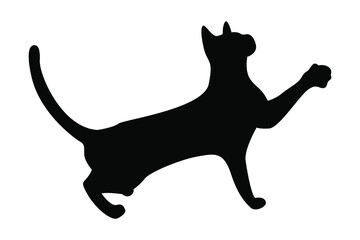 Vector silhouette of a cat. Pet. Silhouettes of cats. Playful cat.