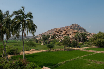Fototapeta na wymiar Palm trees and huge rocks amazing view in Hampi India