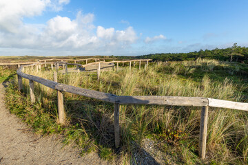 Fototapeta na wymiar Viewpoint Turfveld with scenic view of National Park Dunes Texel, North Holland, Netherlands