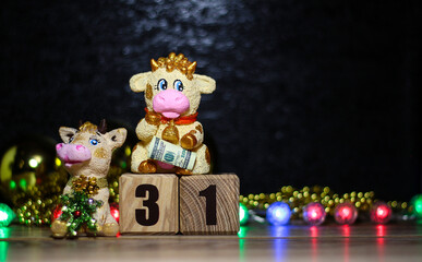 Bull and cow near the wooden cubes with the number 31. Christmas background with toys.
