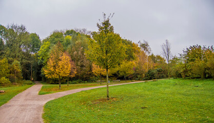 Ein Herbsttag im Wald.