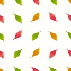 Seamless background of falling autumn leaves, on white