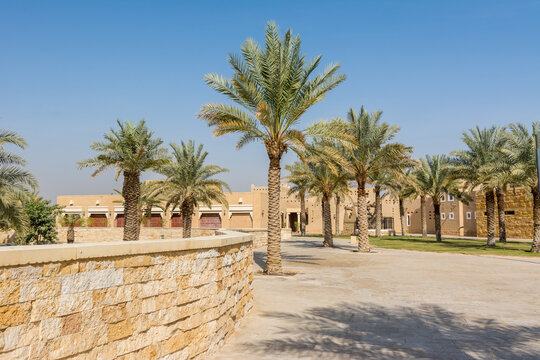 Green palm trees growing in the park in the Ruins of Diraiyah, also as Dereyeh and Dariyya, a old town in Riyadh, Saudi Arabia