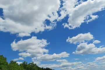 Beautiful blue sky with clouds over the forest