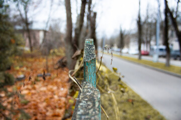 The fence separated the two seasons