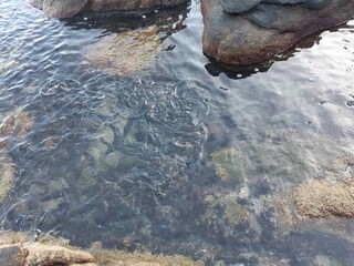 pictures of the Korean sea