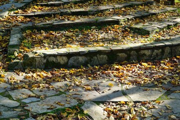 View of autumn colors in Belgrad Forest in Istanbul, Turkey.