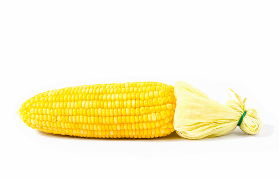 Imagr macro wbstract sweet corn kernel fresh yellow kernel from agriculture on white background or natural fruit snack.