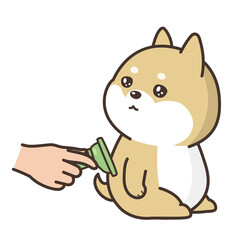 柴犬の抜け毛を取り除く