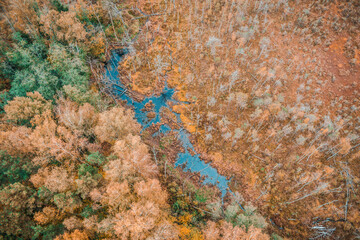 aerial view of the swamp