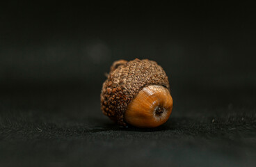 two acorns on a wooden background