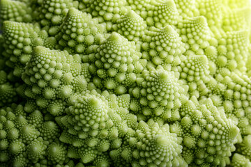 Romanesco cauliflower close-up. Fractal structure on Romanesco broccoli or Roman cauliflower...