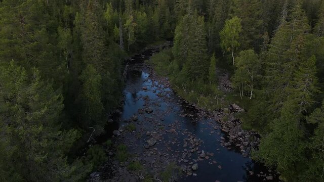 Flying over forest river. Southern Norway, drone footage