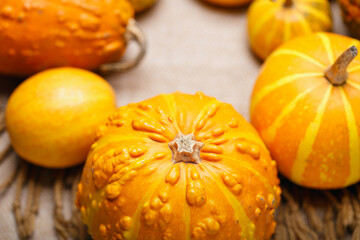 Pumpkins on table - Halloween or Thanksgiving decoration