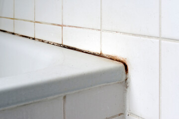 Mould in a bathroom.