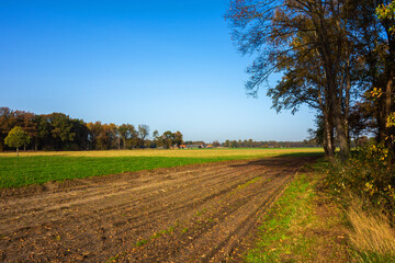 Rural landscape in autumn colors near Winterswijk, Netherlands
