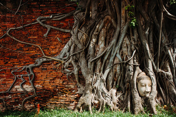 Ayutthaya Buddha Head statue with trapped in Bodhi Tree roots at Wat Mahathat temple is favorite place of Ayutthaya and world heritage.