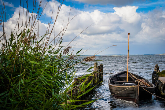 Landscape at the backwater, called Bodden at the Baltic Sea, Germany