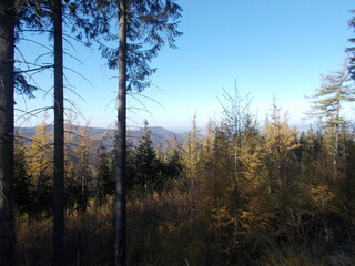 Zamek w Świnie © Piotr