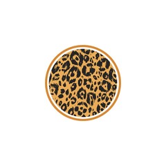 Animal skin pattern leopard texture isolated on white background