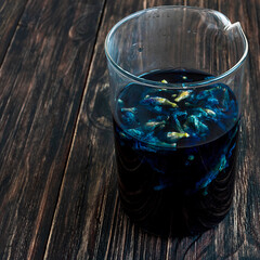 anchan flower herbal blue tea Clitoria Ternatea in a glass beaker