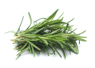 Fototapeta premium rosemary isolated on white background