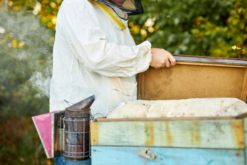 confident beekeeper on apiary in uniform, protective suit. male is working with bees and beehives on the apiary, bees collect honey