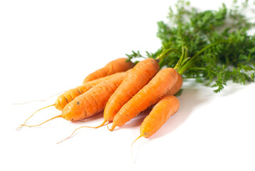 Fresh organic carrots isolated on white background