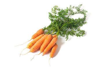 Fresh organic carrots isolated on white background