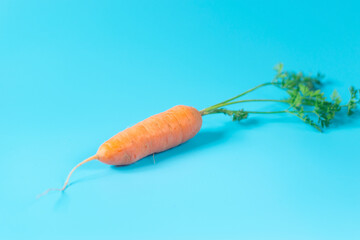 Fresh, organic carrots on light blue background