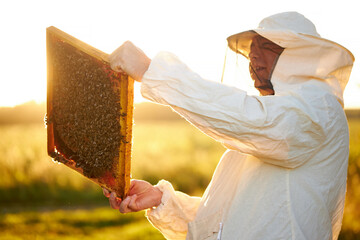 caucasian bee master on apiary wearing protective suit and mask, caucasian beekeeper examining bees...