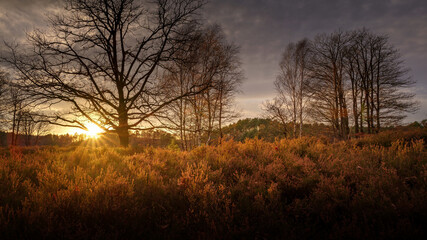 Fototapeta na wymiar Autumnal landscape panorama at sunset 