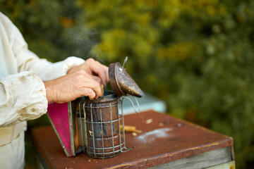 caucasian man beekeeper working in apiary, using bee smoker, nature, farming, agriculture concept