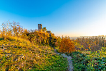 Ruin of castle Zubstejn standing on hill, Czech Republic. Castle built in 13 th century. Autumn day during the sunset. One of biggest ruins in Czechia. Also known as Zuberstein or Zubstein.