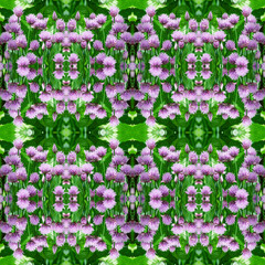 Seamless Wallpaper with purple onion flowers on a green background