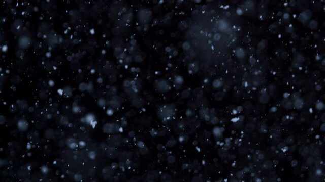 Falling natural snowflakes isolated on a black background, a lot of falling chaotic snow.