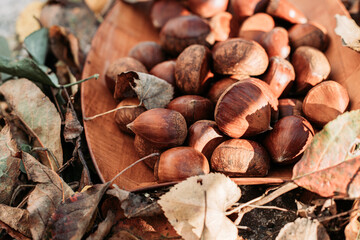 Close-up of raw chestnuts in wooden dish surrounded with dry leaves.
