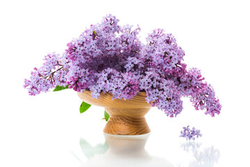 bouquet of beautiful spring flowers of lilac on white background