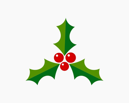 Christmas plant holly berries leaves symbol.