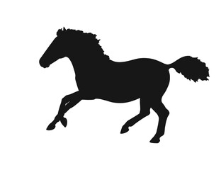 Young pony playing on the freedom vector silhouette