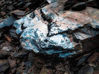 close up of firewood